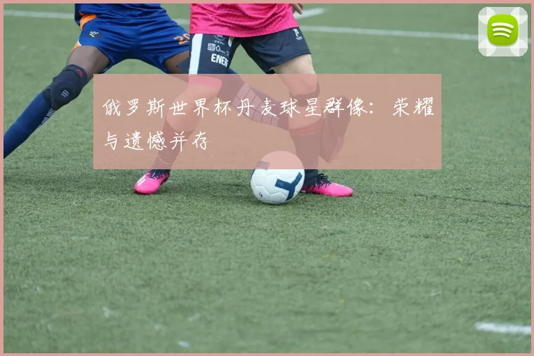 俄罗斯世界杯丹麦球星群像：荣耀与遗憾并存