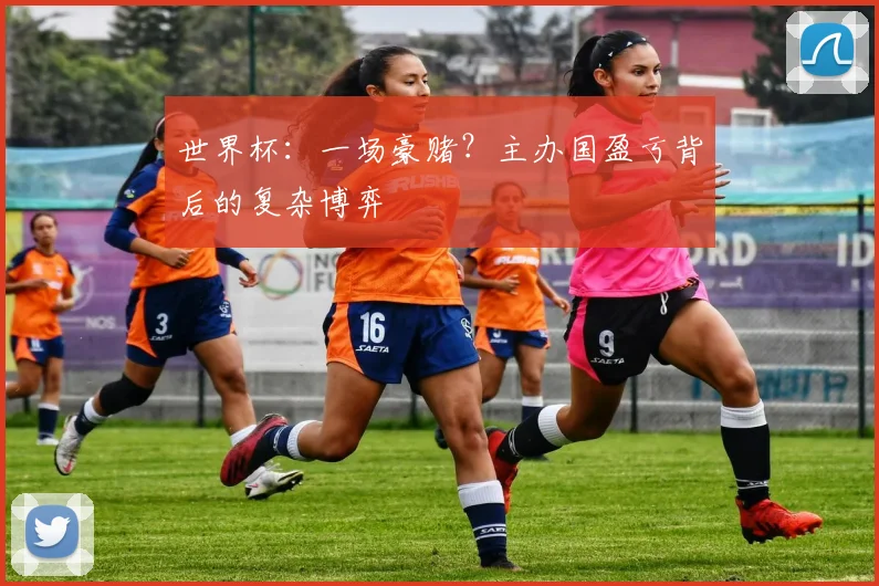 世界杯：一场豪赌？主办国盈亏背后的复杂博弈