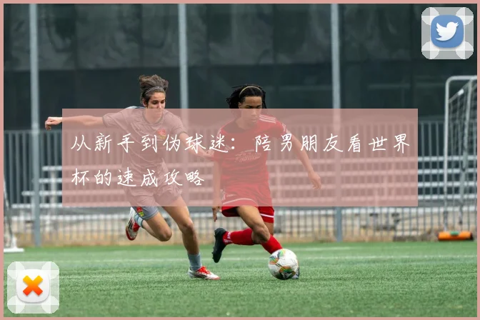 从新手到伪球迷：陪男朋友看世界杯的速成攻略