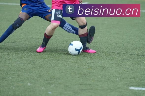 对战数据统计